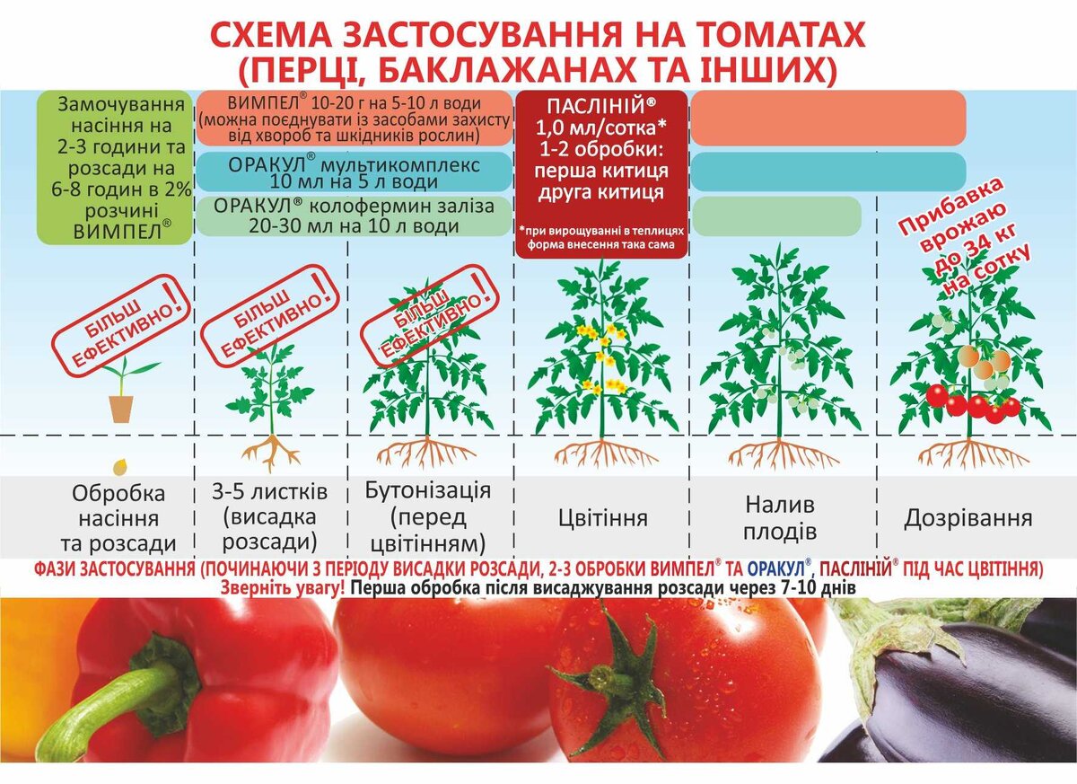 Когда нужно сажать болгарский перец