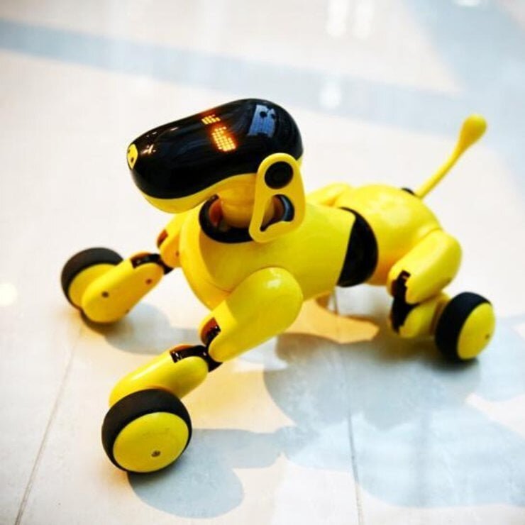    Можно взять собаку в прикольном желтом цвете