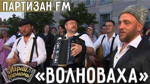 Волноваха | Группа «Партизан FM» (г. Москва) | Играй, гармонь!