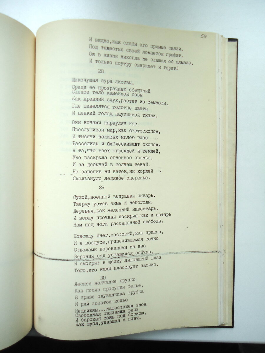 Откуда берутся постельные клопы в квартире, чем опасны для человека?