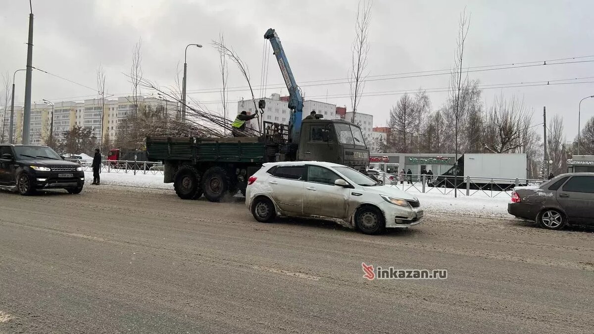     В Казани на Проспекте Победы сажают деревья. Фотографии с места прислали в редакцию Inkazan читатели.