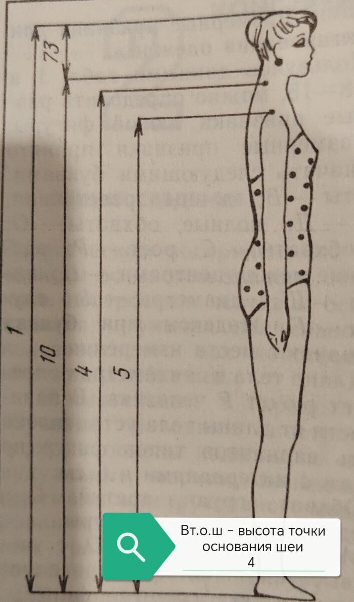 Высота точки основания шеи.