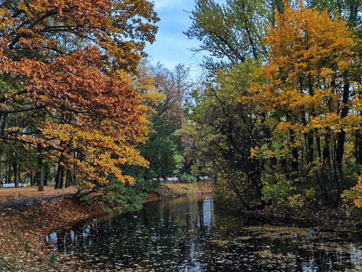Осенний пейзаж в парке