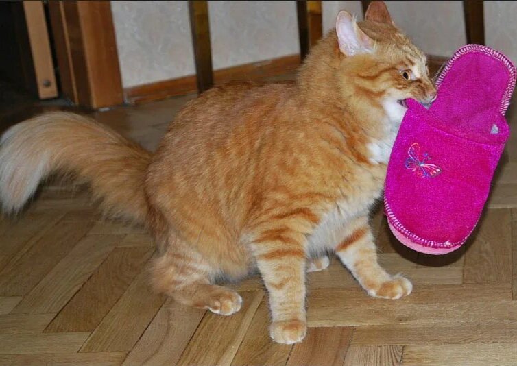 Источник: Яндекс картинки