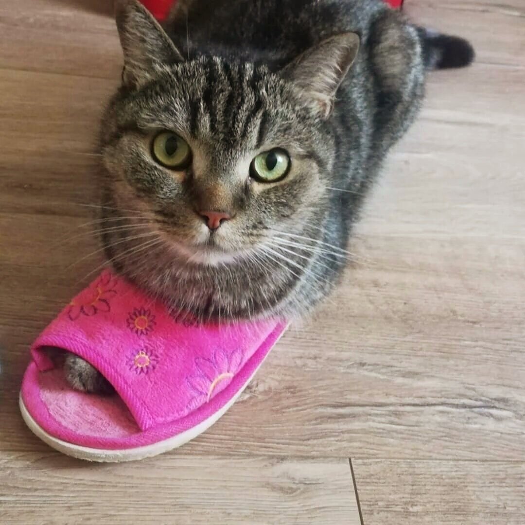 Источник: Яндекс картинки