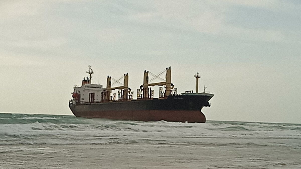 Авторское фото дзен-канала "Стартапы без дураков"