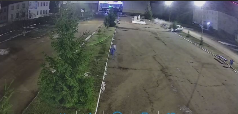    В Грачевке у Центра культуры вандалы уничтожили голубую ель Марина Шарт