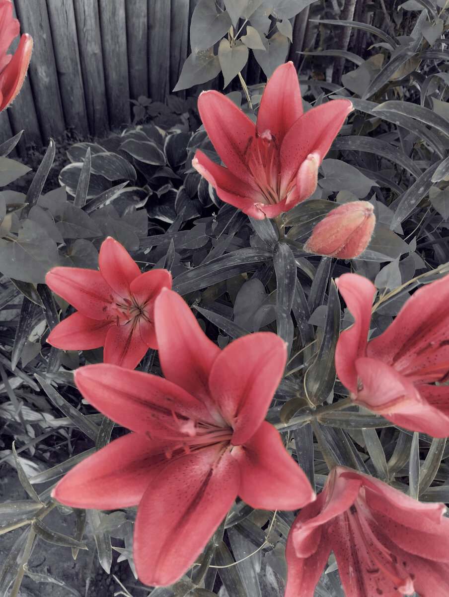 Фото автора.. 