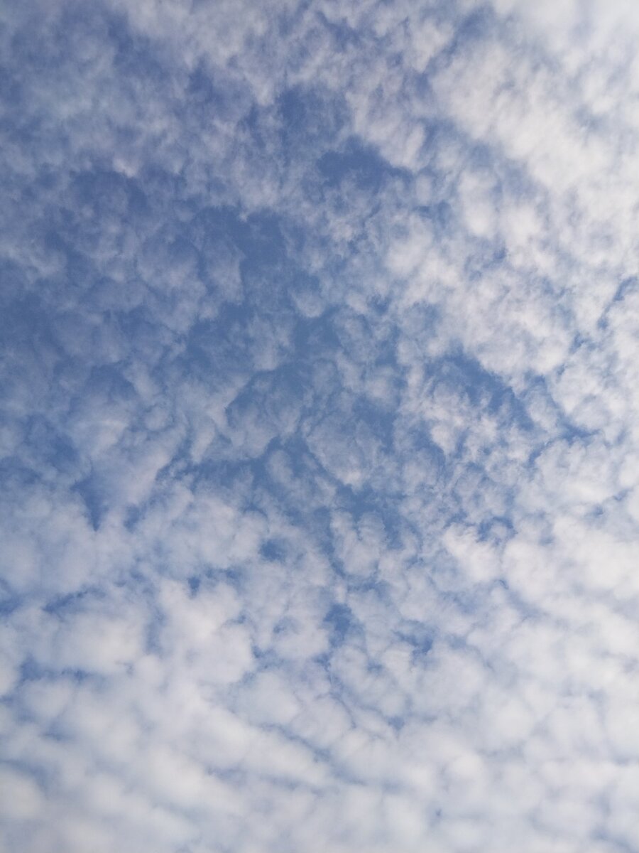 Чистого вам неба.. Фото автора.. 