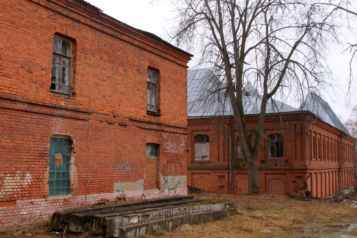 Небольшой городок на северо-западе Подмосковья. Как выглядит и что там  происходит. | Travel_and_Транспорт | Дзен