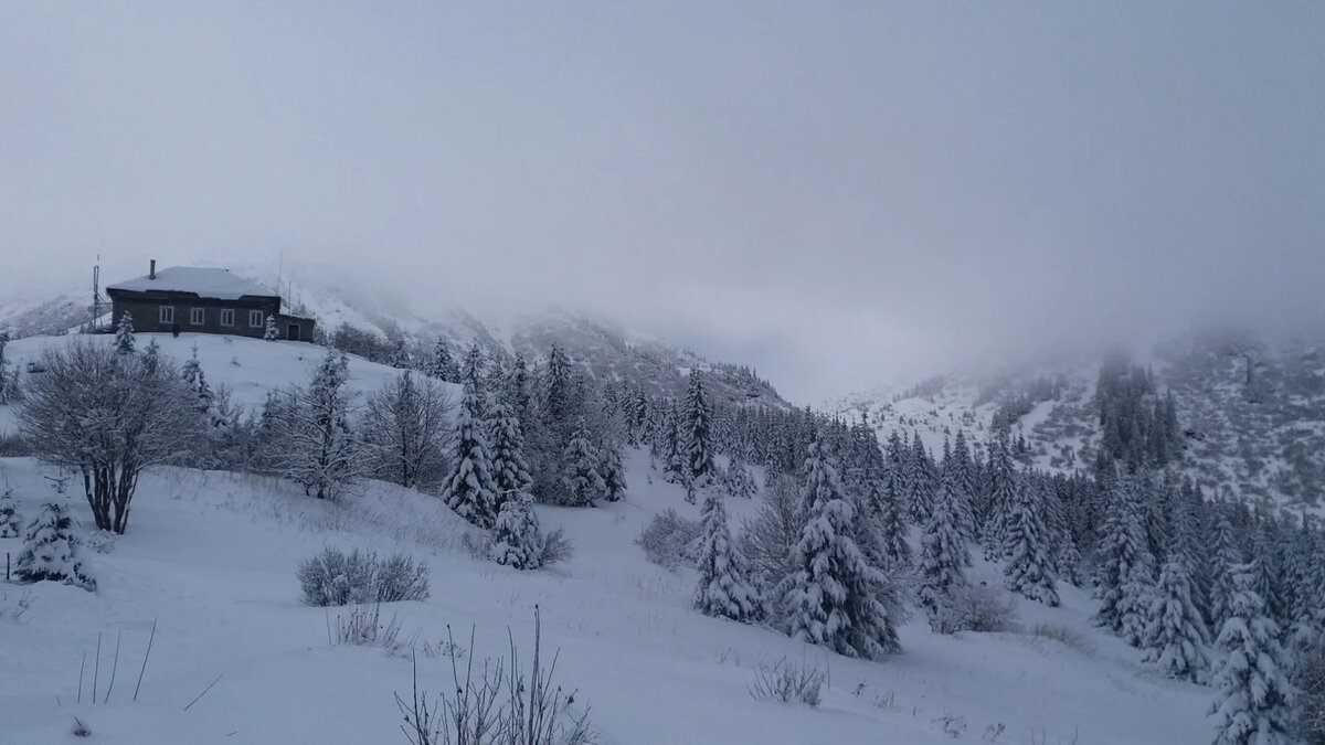 Карпаты под снегом. Яндекс картинки, фото с сайта bykvu.com