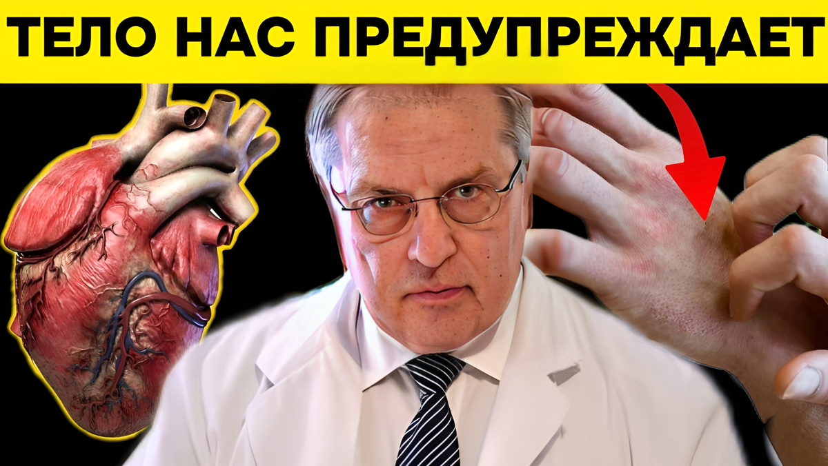 10 признаков того, что с сердцем дело худо? Врачи их назвали и объяснили,  почему не все так просто, как мы думаем | Игорь Ботоговский | Дзен