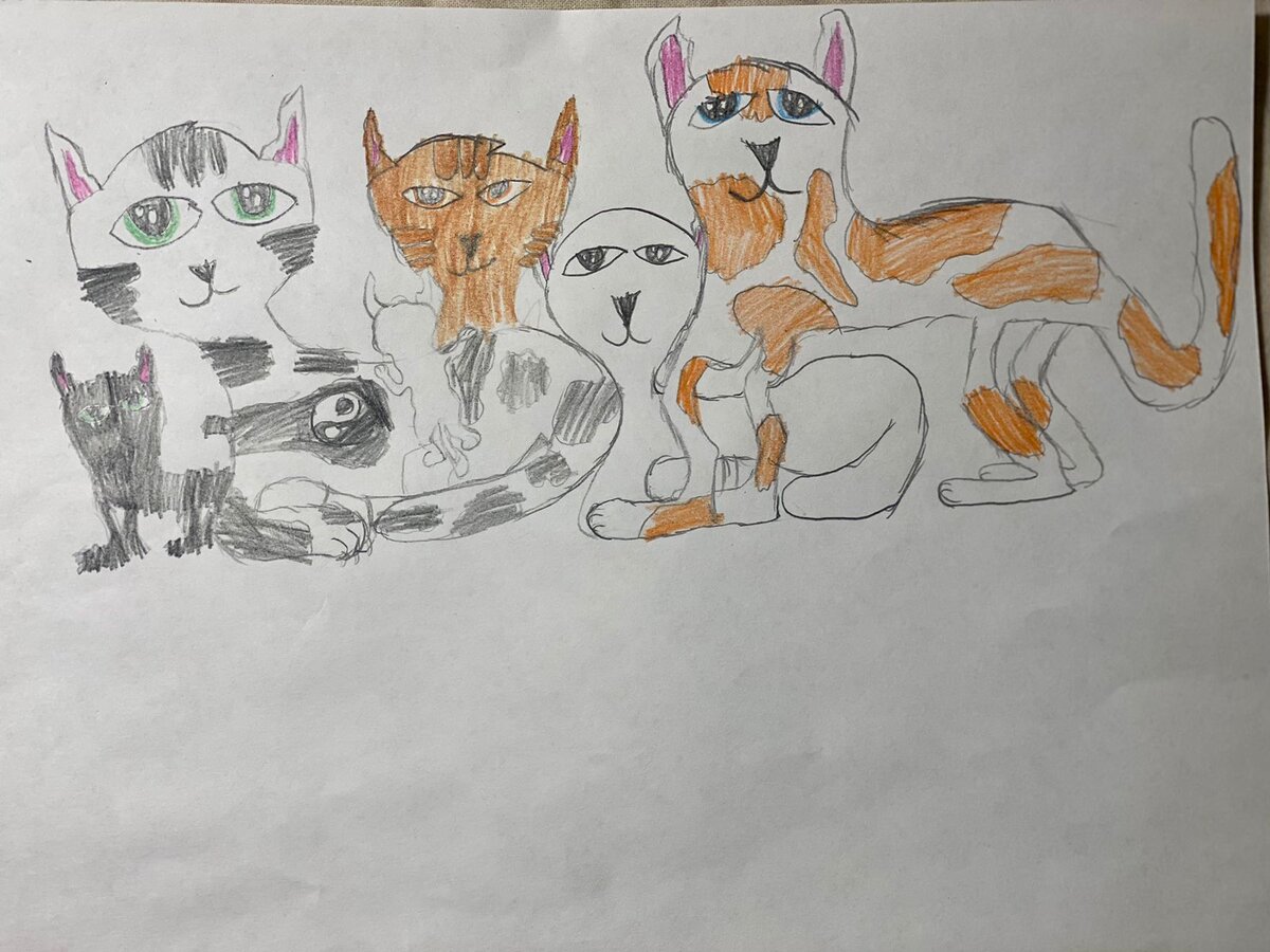 Коты сына. Ребенок явно просит кота, но родители не понимают😂