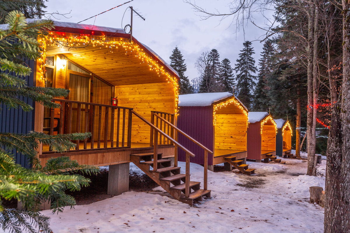 Forest House Resort