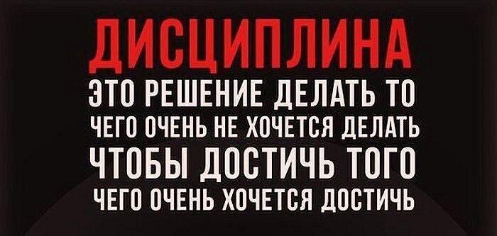 Дисциплина