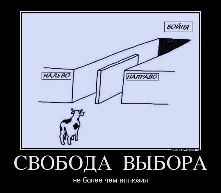 Всегда выбирает свободу. Свобода выбора. Выбор демотиватор. Свобода демотиваторы. Иллюзия свободы выбора.