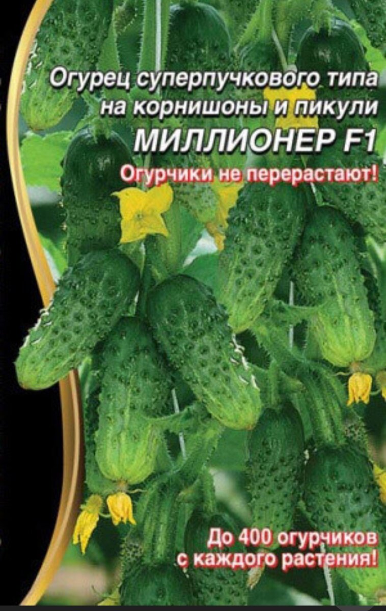 Огурец Миллионер F1