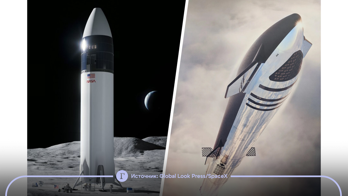 Лунная версия грузопассажирской Starship без теплозащиты и рулей (слева) / обычная Starship (справа)
