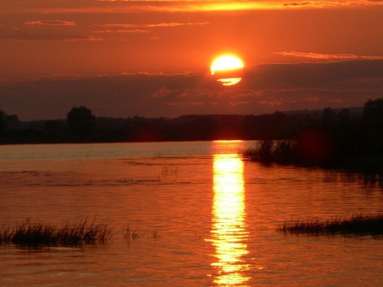     Если в этот день снег пойдет, то и 3 июня ждите дождя. фото: мк в ленобласти