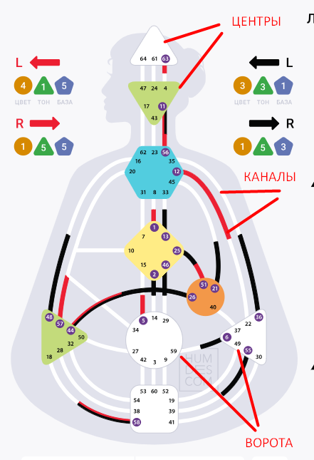 Дизайн человека. ВВедение: о сложной системе простым языком. | Llin - компас бытия | Дзен