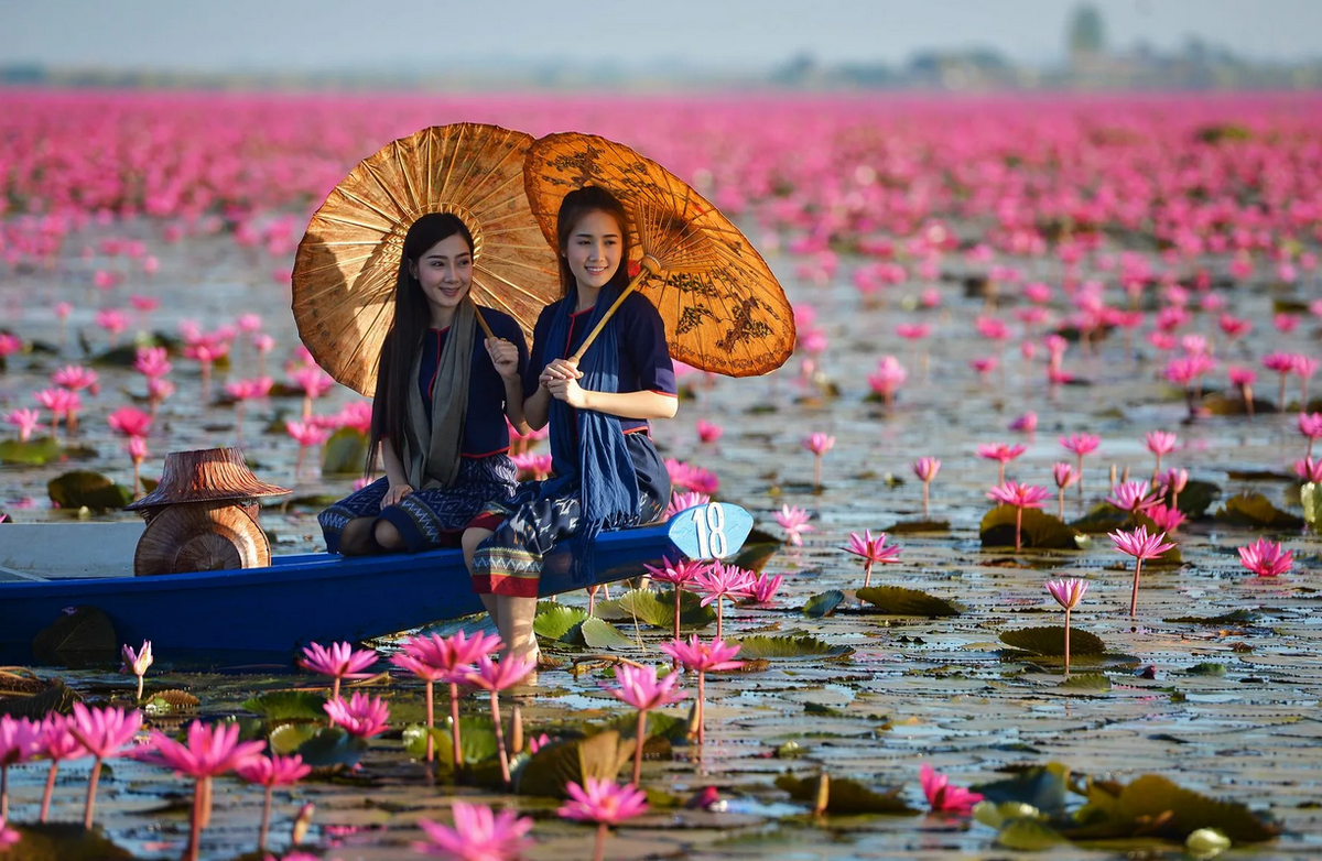 Озеро Нонг Хан. Озеро лотосов Вьетнам. Тайланд Вьетнам. Озеро Нонг Хан Кумпхавапи, Таиланд. Быт азии