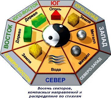 15 комнатных растений, которые привлекают деньги в дом, счастье и удачу