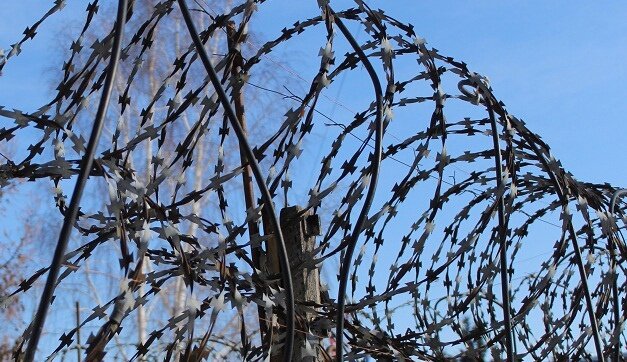 Только освободился, и опять угодил за решетку: в Потанино задержали подозреваемого в расправе. Фото: Царьград.