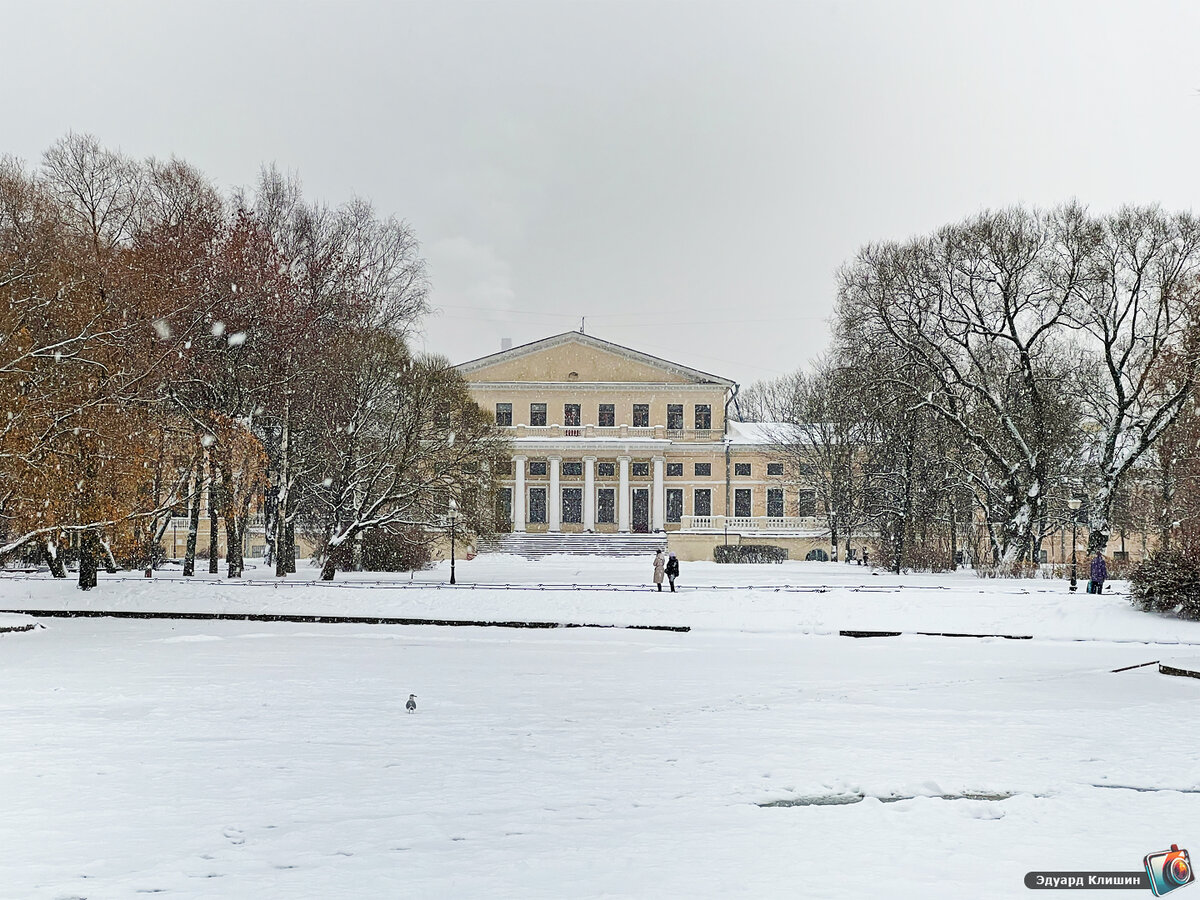 Очередь в музей зимой СПБ