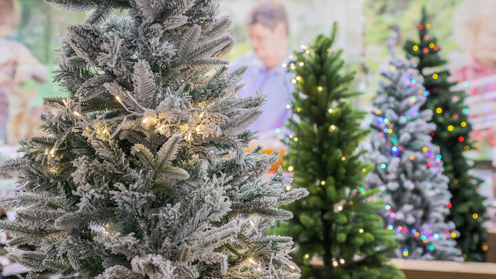 © BULKIN SERGEY/NEWS.RU/GLOBALLOOKPRESS