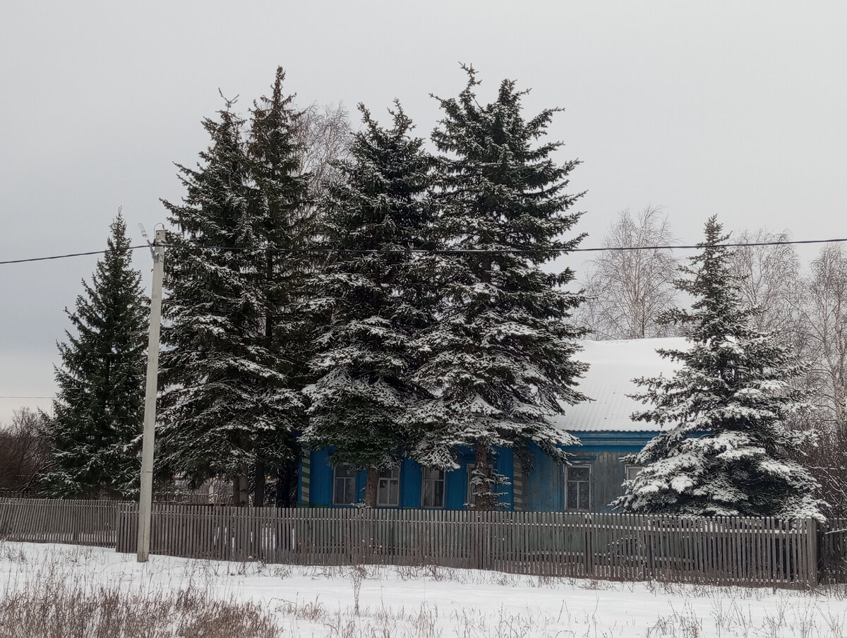 Из личного архива.