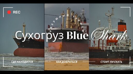 Новая достопримечательность Анапы - сухогруз Blue Shark выбросило на берег (стоит ли сюда ехать - отзыв из первых уст)