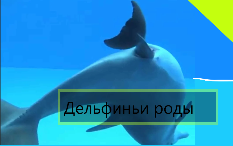 Кривой фотошоп