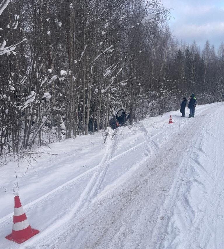 Фото: пресс-служба ГУ МВД по СПб и ЛО