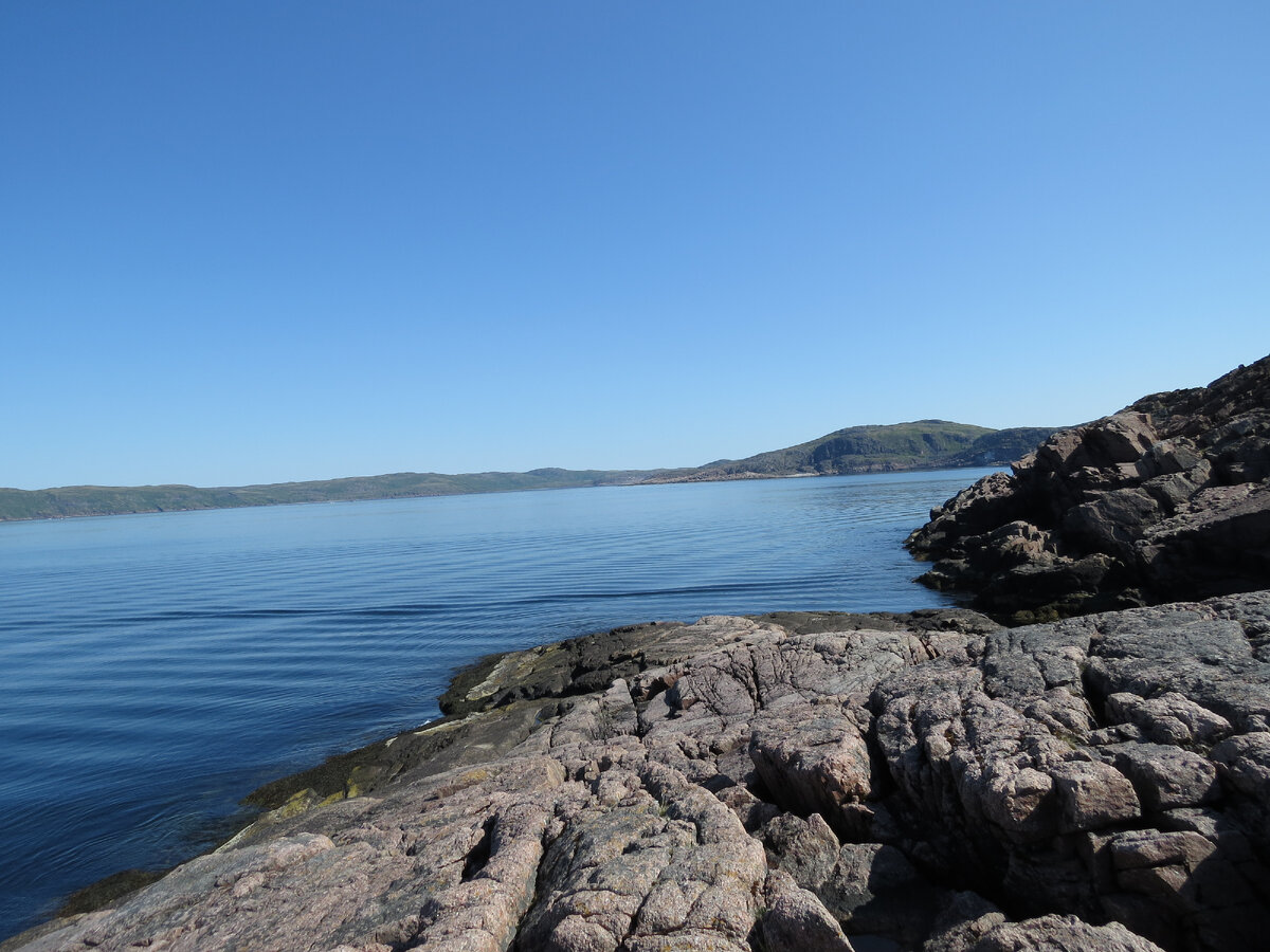 Териберская губа, Баренцево море