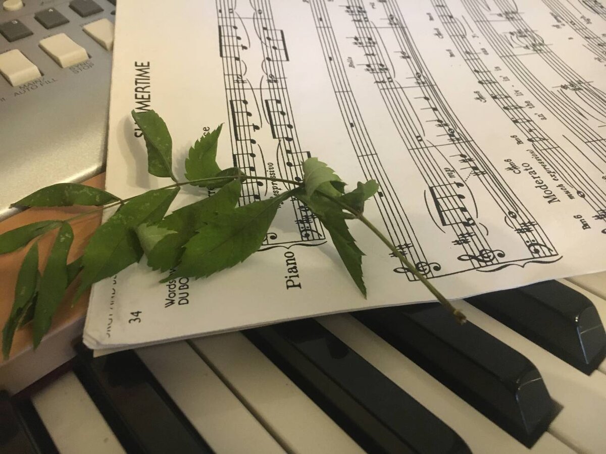 В конце статьи  - ссылки на самые популярные публикации канала