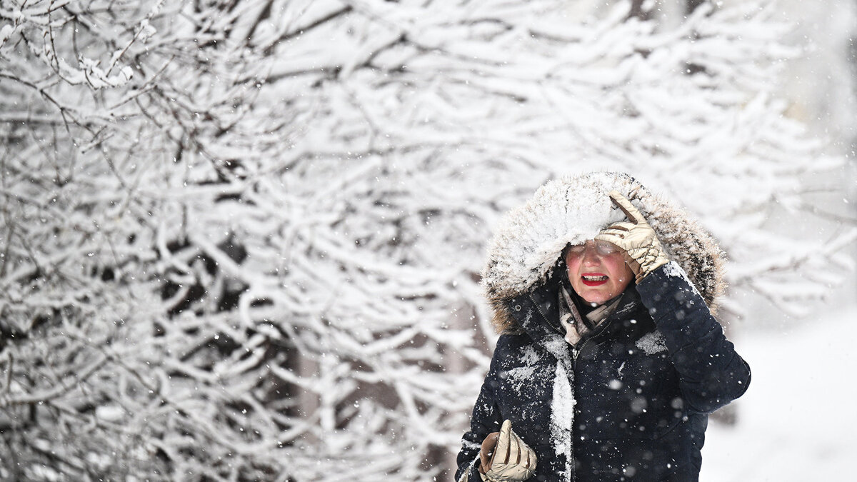    Снег в Москве© РИА Новости . Рамиль Ситдиков