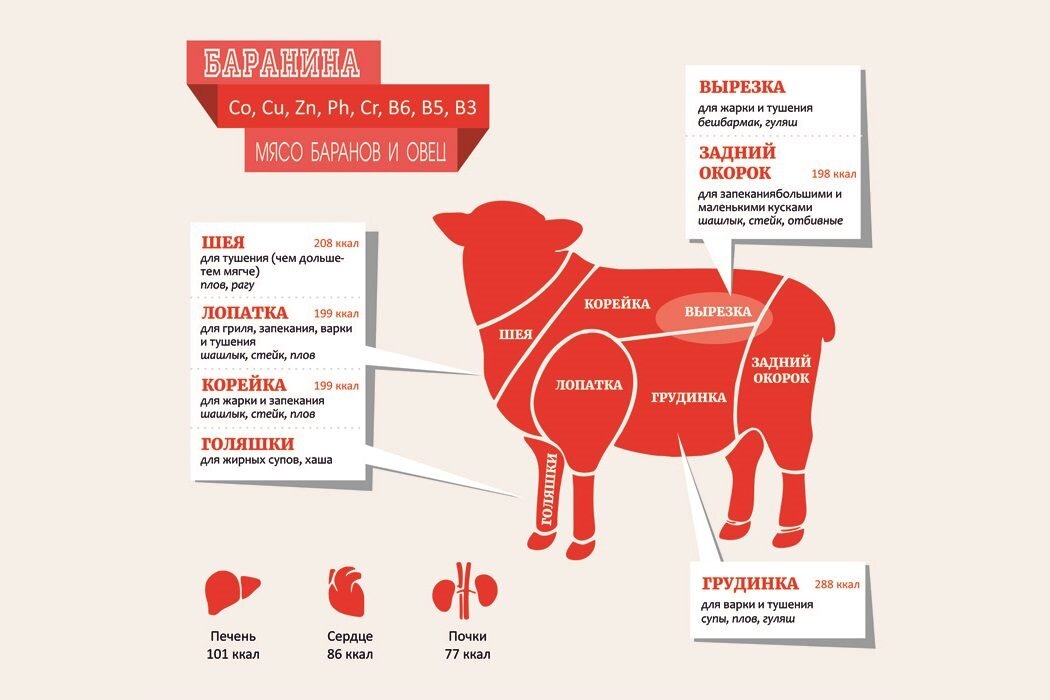 Баранина польза и вред для организма. Схема разделки туши баранины. Части туши баранины схема. Мясо баранина схема разруба. Схема разделки мяса баранины.