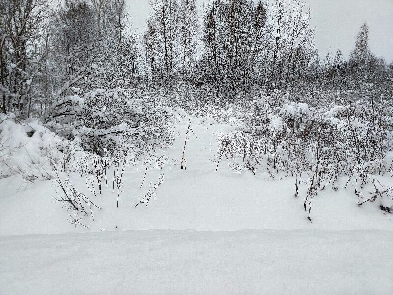 зимняя сказка