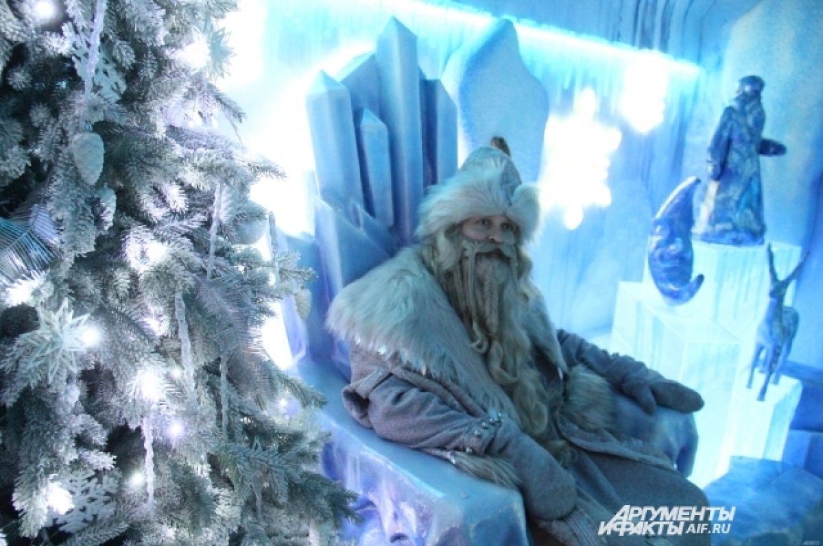    Письма жителей Томска доставят Деду Морозу на Великий Устюг