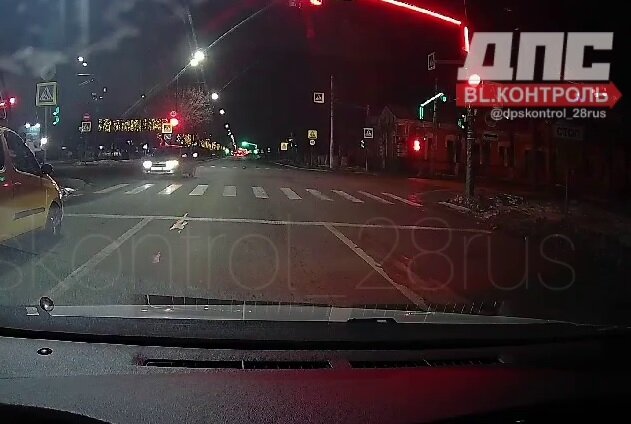    Фото: скриншот видео dpscontrol_28rus