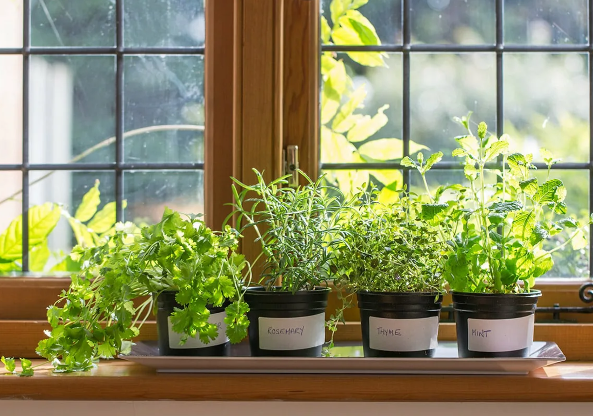 Размер и материал контейнера