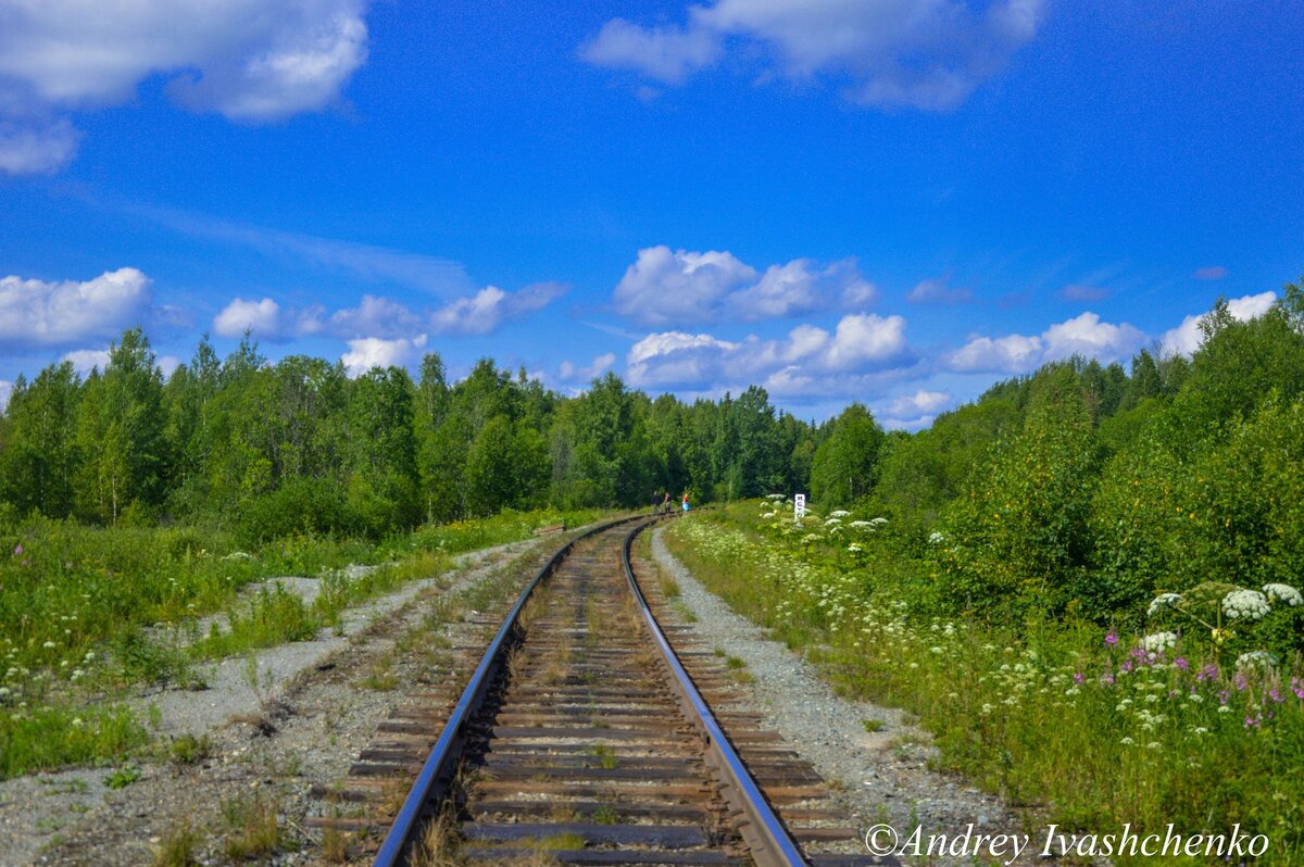 Впереди справа видно стелу истока Вятки -  главной реки Кировской области. Вид в сторону Верхнекамской. 