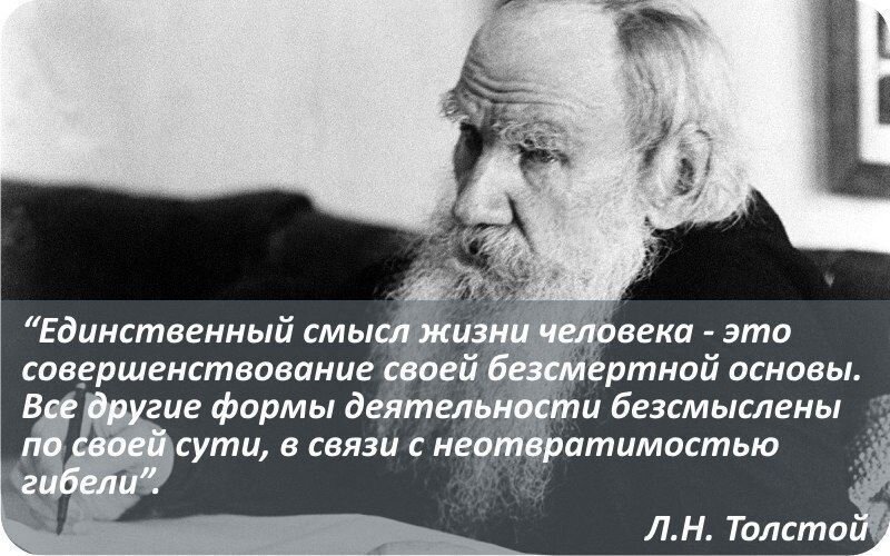 Почему вопрос о смысле жизни волнует и мучает человека: философский подход | Обществознание
