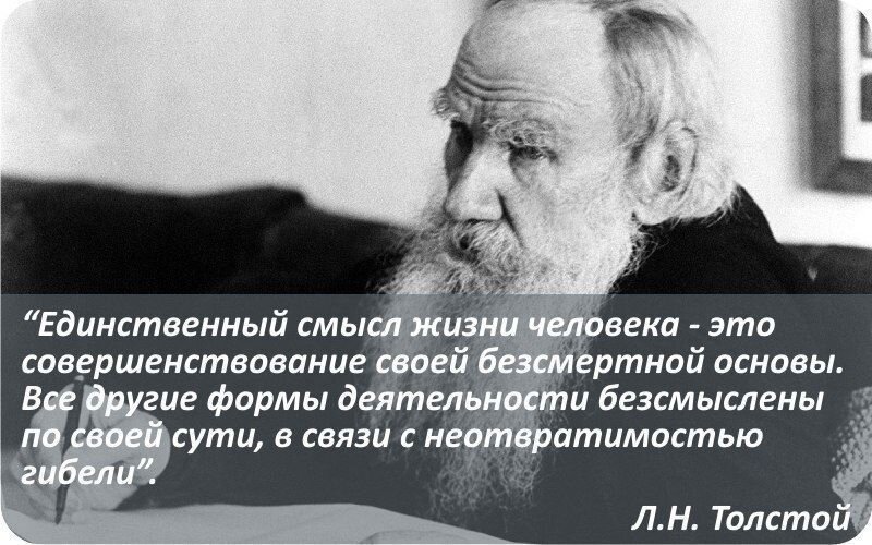 Почему вопрос о смысле жизни волнует и мучает по словам философа