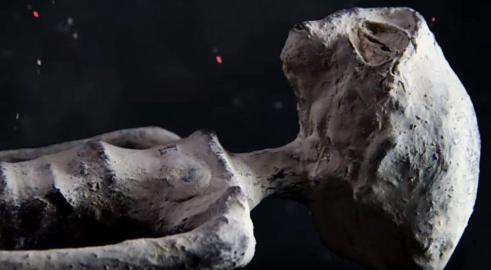 Мумия, условно названная "Жозефина"