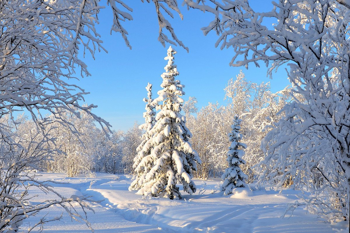 Зимний пейзаж. Фото с сайта celes.club