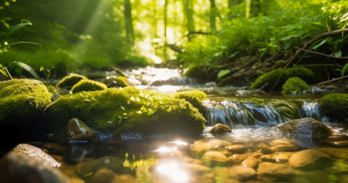 Фото: freepik.com