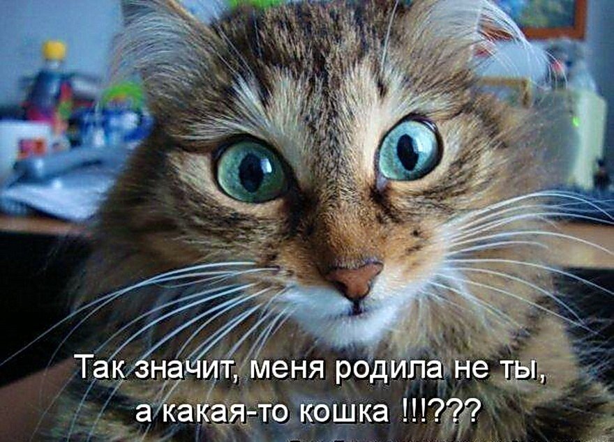 Факты из нашей жизни