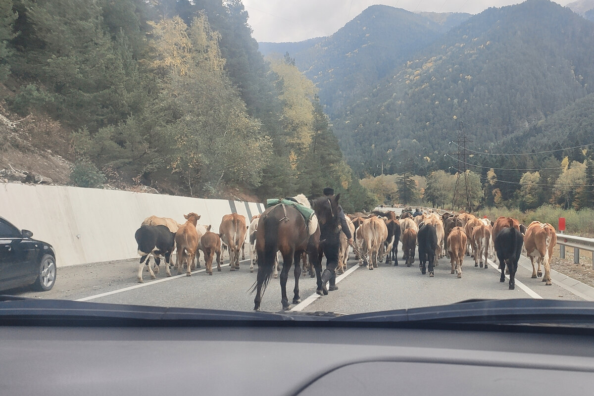 ПДД здесь не действуют :))