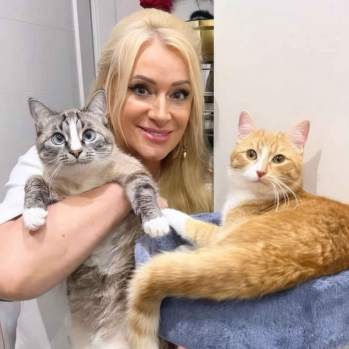 © Наталья Гулькина